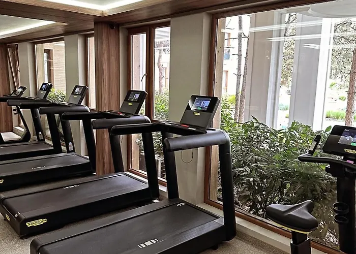 Tranquilo Escapes * 阳光海滩